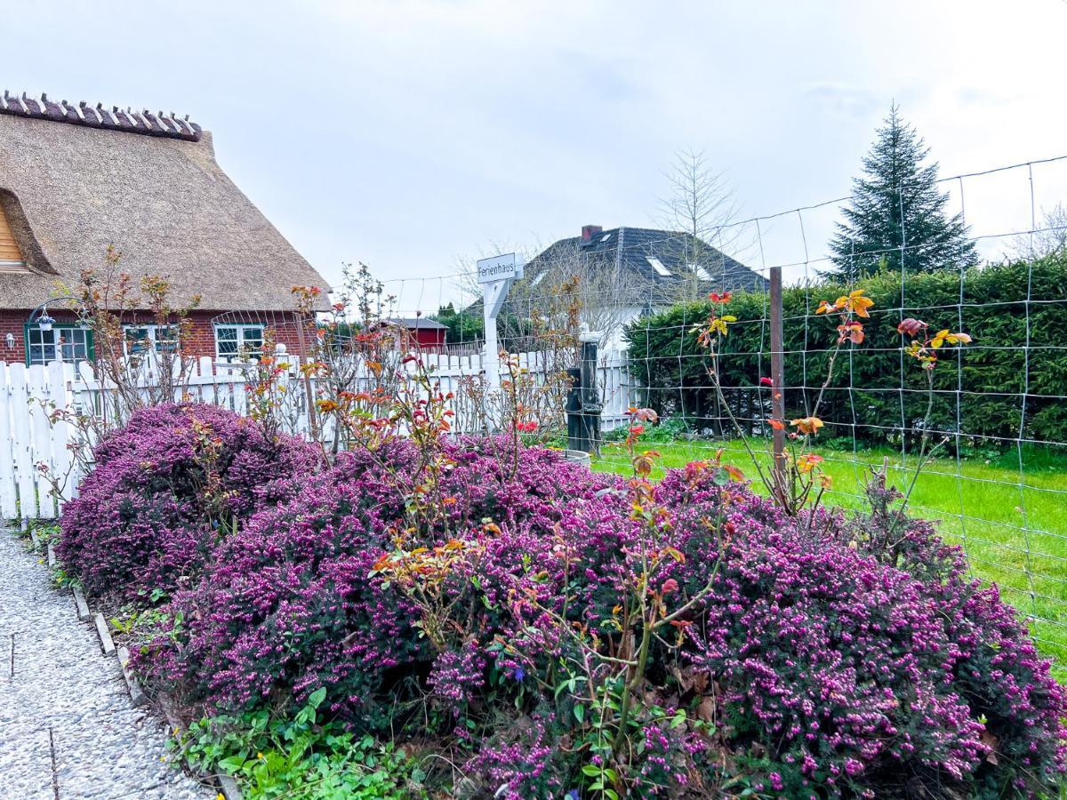 Ferienhaus 800M Zur Ostsee, Hund, Strand, Meer, Geltinger Bucht Villa Steinberg  Exteriör bild